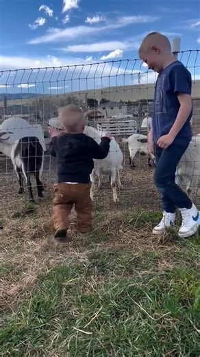 The baby was scared and cried🤣#funny #prank #baby #moment #fright #scare @followers @topfans Lnteresting life | Lnteresting life