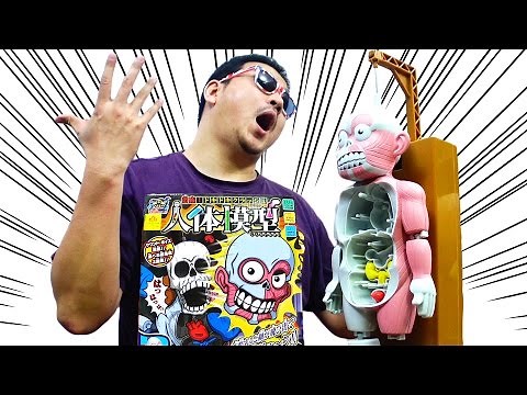 にがい！！罰ゲームはセンブリ茶！恐怖！ 人体模型ゲーム びんくり！おもちゃ ハラハラドキドキ himawari-CH