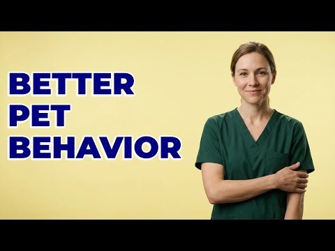 How Do You Gradually Shape New Pet Behaviors?