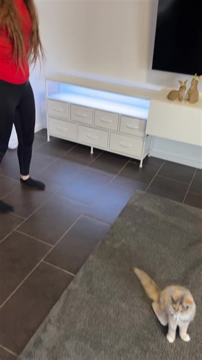 Die perfekte Kommode mit LED für dein Wohnzimmer