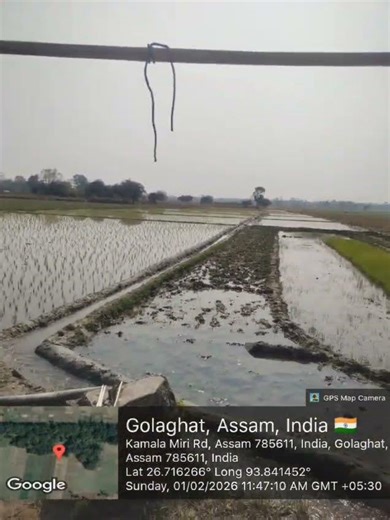 Solar Power TW Scheme at Bokakhat LAC (10 points) under SOPD-G for the year 2024-25