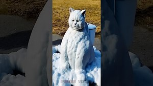 12K views · 101 reactions | Mix Coca-Cola and Mentos in a Toilet #experiment | Power Vision | Facebook