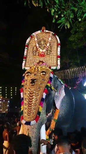 തിരുവമ്പാടി ചന്ദ്രശേഖരൻ്റെ ശിരസ്സിലേറി തൃപ്രയാർ തേവർ ആറാട്ടുപുഴയിലേക്ക് എഴുന്നള്ളുന്നു