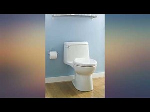 American Standard 2004314.020 Champion 4 Elongated One-Piece 1.6 GPF with Toilet review