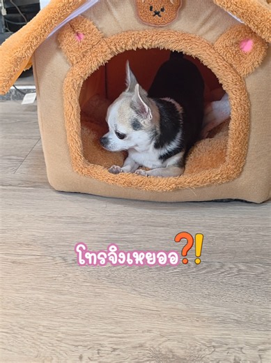 ปฏิทินปี 70 ของนู๋มีมี่ - พรีออเดอร์ตอนนี้
