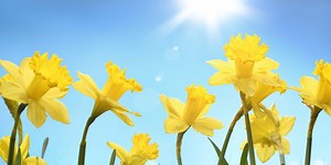 Decolonizing Social Work and Response-Based Practice