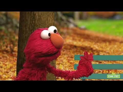 Wondering About Skin Color