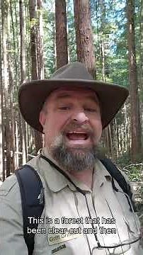 Why Cutting Trees Can Sometimes Help. #forestry #forestrestoration #redwoods