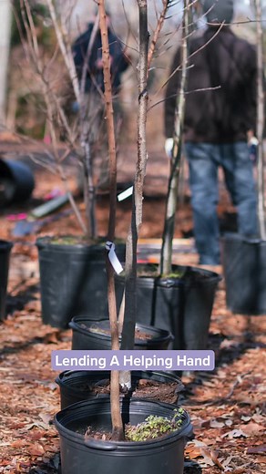 Lending a helping hand in your community is a great way to get involved with local organizations. Ready to give back with your neighbors? Join us for trash cleanup on April 14 in DC or tree planting on April 22 in VA and April 28 in MD. Visit www.giantfood.com/community for more details!