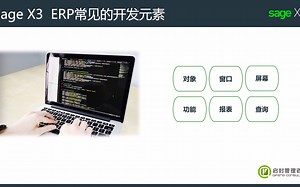 Sage X3 ERP的命名规范