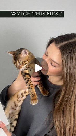 LILIYA 🇺🇦🇩🇪 haircare & UGC creator | Haircare doesn’t have to be expensive, nerve-racking or exhausting - I’m here to share all my knowledge with you so you can achieve long... | Instagram