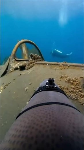 Fighter Spaceship Wreck Found in Deep Sea 😮#oceanexploration #underwater #dive #shipwreckarchaeology