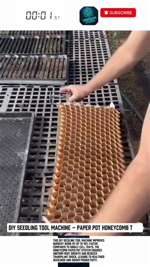 DIY Seedling Tool Machine – Paper Pot Honeycomb Tray