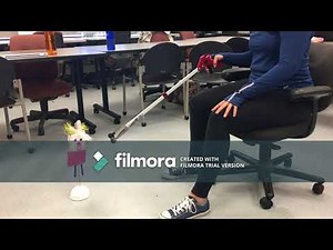 Ontel Deluxe Gopher Pick Up and Reaching Tool