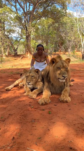 I Am Sky on Instagram: "Walking With Royalty 🦁"