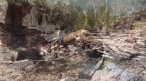 7K views · 292 reactions | Hogs Dogs Quads - Hogs Dogs Quads - Hunting wild boar in Australia dogs fishing pig hunting atv marlin piggin BUY FULL DVD & MORE AT: www.hdqshop.com www.hogsdogsquads.com.au Facebook: Hogs Dogs & Quads Instagram: BryceandMatty Snapchat: HogsDogsQuads Vimeo: Hogs Dogs Quads | Video Hunts | Facebook