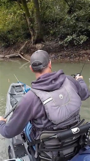I was just explaining how creek transitions hold fish — and sure enough, one proved the point! 🎣 #creekfishing #KayakFishing #largemouthbass | Creek Fishing Adventures