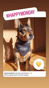 3 comments | EPAM Global on Reels | Facebook