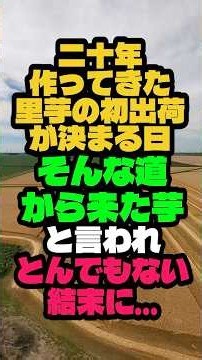 🎉100,000 views🎊On the day the first shipment of taro I had cultivated for 20 years was decided, m...