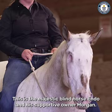 Endo the Blind sadly lost both of his eyes due to a medical condition but Morgan Wagner (USA) did not give up on him 🐎 | Guinness World Records