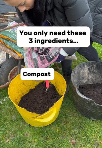 3 Magic ingredients for spring… Compost, grit and bulbs 🙌🏼 Bulbs HATE to be soggy so grit is a really good idea to aid drainage! I did a 50/50 mix the year I did this display as there was no way I was loosing any bulbs! You can buy horticultural grit in any garden centre 👌🏼 Im not fussy on compost brand for bulbs, cheapest I can get and I mix in some garden soil and old spent compost too! Eeeekkkk SO exciting for cold weather to be planting bulbs! Link to my gardening club in my bio 😘 #gard