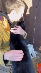 24K views · 2.3K reactions | Today, daily activity Luna and vanza❤️ | Lunathepantera | Facebook