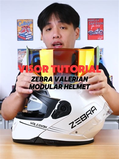 Helmet Visor Tutorial Zebra Valerian #helmet