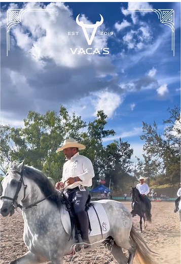 Copa Rotativa del Caballo Ibero 2025: Juzgamiento y Requisitos