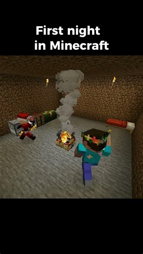 First night in Minecraft with bro...
