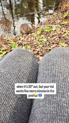 150K views · 4.1K reactions | These swim sessions at the pond are getting chillier and chillier! 冀嶺 But I wouldn't miss them for the world. Letting Bo live her most natural life possible in captivity is my highest priority.. Do you guys remember when you made me swim in there with her when there was ice on the water? 略 #beaver #bothebeaver #beaverrescue #animalambassador | Wild For Life inc. | Facebook