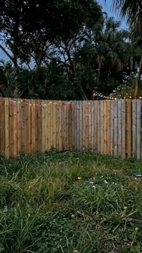 “Nadie usaba este patio… ahora todos quieren estar aquí