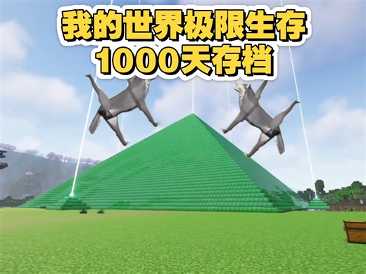 给大家分享一下我生存了1000天的极限存档