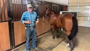54K views · 388 reactions | Take a tour of Purina Ambassador Coleman Proctor's barn! Coleman is a 5-time National Finals Rodeo team roping qualifier. He built his barn after winning the George Strait Team Roping Classic in 2010. Today, his barn is home to several #PurinaFed champions, in addition to promising bloodlines and spring foals! Come behind the scenes to meet Coleman’s roping horses and hear how he chooses to #FeedGreatness: | Purina Horse Feed | Facebook