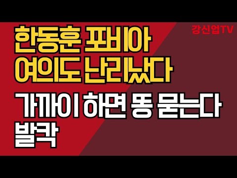 한동훈 포비아, 여의도 난리났다/가까이 하면 똥 묻는다, 발칵