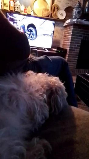 aphmau_zane1 op TikTok