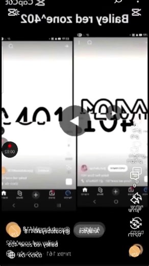 Bailey red zone^404 (Error) (Fixed)