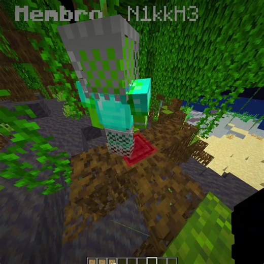 gênio da placa zoeira somos java e bedrock #sweetmc #minecraft #fyp