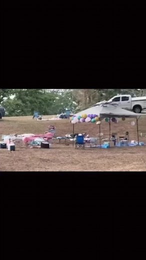 40K views · 224 reactions | Footage from the Bee attack in Palmiste Park Easter Monday. | Look The Brightstar Trinidad &Tobago | Facebook