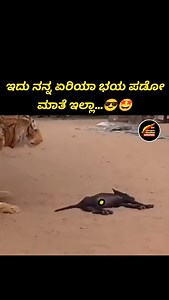982K views · 9.3K reactions | Wait for end 朗 Follow @forever_karnataka_ #forever_karnataka | Forever Karnataka | Facebook