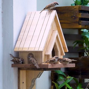 Turn solid wood into most amazing woodworking projects | Woodworking Tools