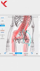 Découvrez comment notre logiciel Moti Physio 2 permet une évaluation précise et instantanée du mouvement lors d’un squat. Grâce à une analyse dynamique en temps réel, identifiez les déséquilibres, suivez les progrès de vos patients et optimisez les protocoles de rééducation ou de performance. 📊 Biomécanique avancée 🧠 Analyse intelligente des angles et amplitudes ⚡ Rapports clairs et personnalisables Que vous soyez kinésithérapeute, coach sportif ou préparateur physique, Moti Physio 2 vous aide