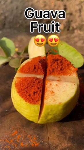 Jungle Platters on Instagram: "🤩🔥Guava Masala ASMR | Our Jungle’s Tangy Treat🔥🤩 . . Fresh green guava coated with spicy desi masala delivers pure crunch satisfaction 🤤🔥 Enjoy crystal-clear ASMR crunch sounds, tangy flavours, and calming jungle vibes 🌿👂 ⚠️ Warning: This reel is extremely satisfying — watch till the end 😍 If you love ASMR food, spicy fruit snacks, and oddly satisfying reels, show some love by liking ❤️, commenting 💬, sharing 🔁, and following The Jungle Platters 🌱 🎁 Lo