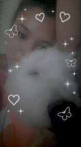 14 reactions | Gracias a los adoptantes de peluchin  Por acogerlo directamente de la calle 凉 e integrarlo en su hermosa familia LOS MILAGROS EXISTEN Y TU PUEDES SER PARTE DE ELLOS ❤️‍啕 MIL GRACIAS POR ADOPTAR Y NO COMPRAR  | Adopción Animal Guayaquil - AG | Facebook