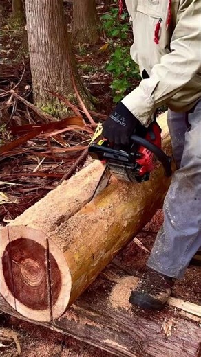 (13) 森で最悪なエリアを、最高の場所に開拓！ (森に寒波到来❗️焚き火で暖をとりながら、山小屋の屋根材加工！)