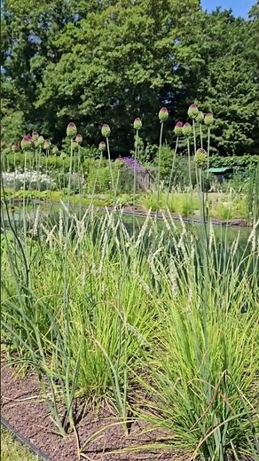🌿 Sublimez votre jardin avec ECCOborder Flex | ECCO Products
