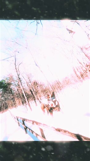 Join the Live Incentive Program Now!