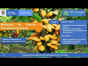 Nivelación de Cosecha y Postcosecha del Cacao. 1 parte.