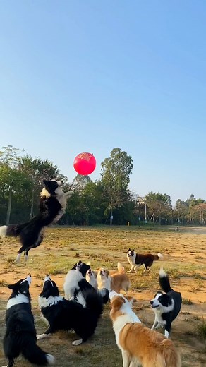 I can watch them play all day | Beautiful World