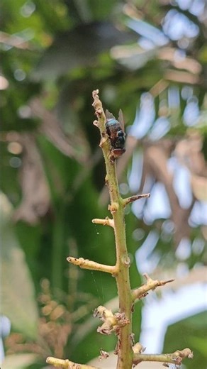 how beautiful | WhatsApp Status Video|Nature Background Videos #nature #naturelovers #shorts #viral