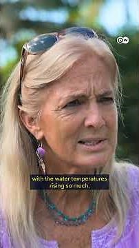 From hunted species to legal citizens of the sea | DW Documentary